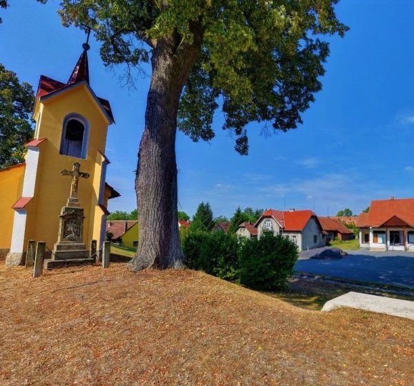 Týnišťko